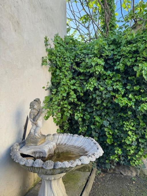 Appartement De Plain-Pied Avec Jardin Avignon Extérieur photo