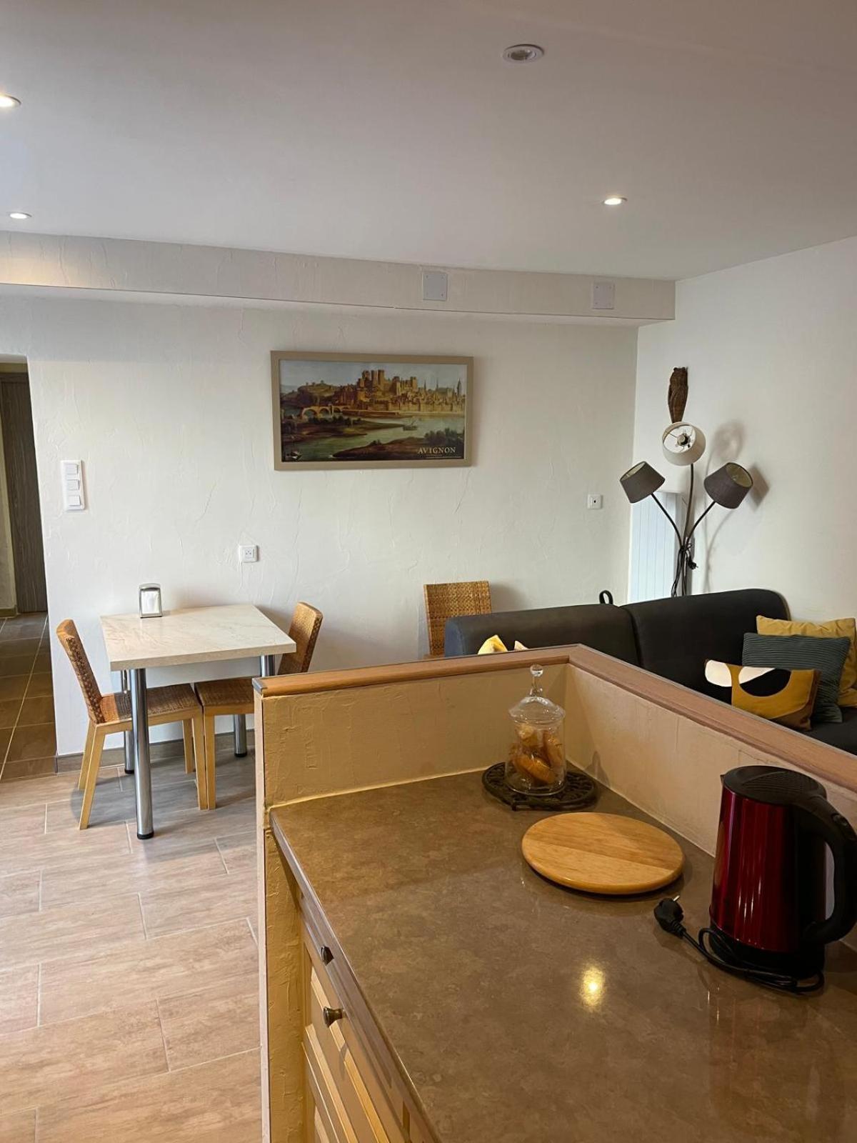 Appartement De Plain-Pied Avec Jardin Avignon Extérieur photo